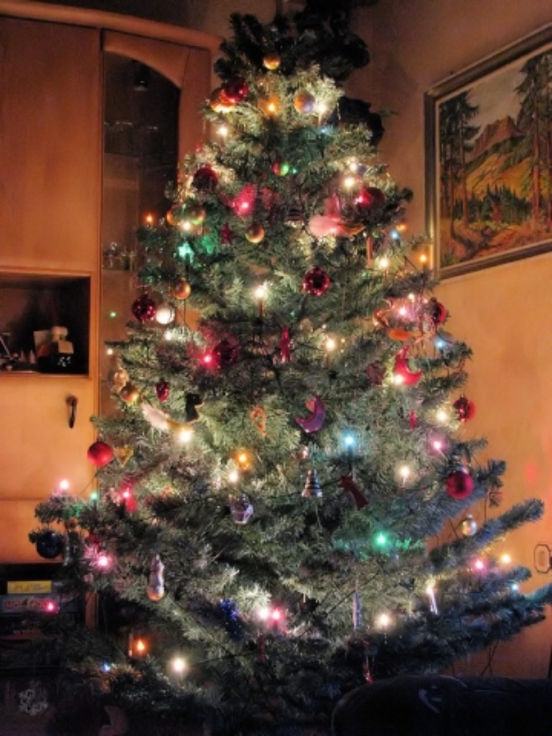 679__640x480_weihnachtsbaum1