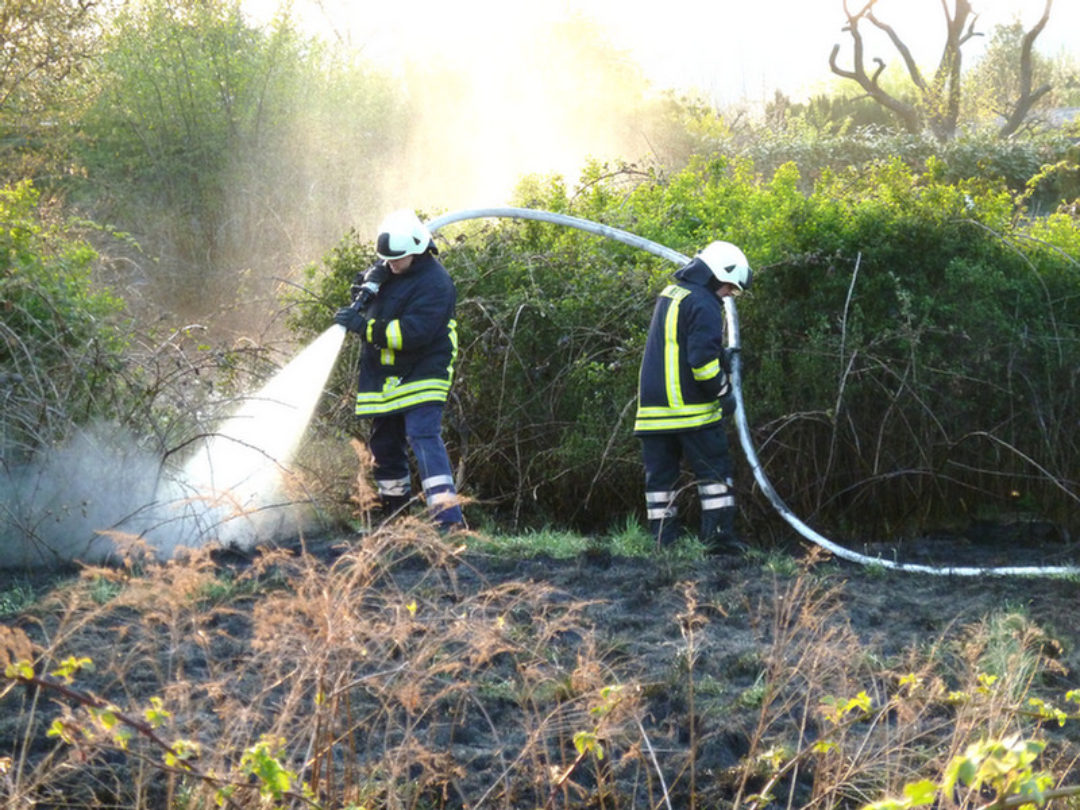 Flächenbrand