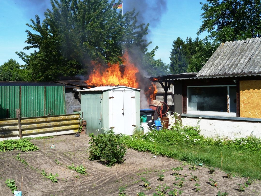p1000337