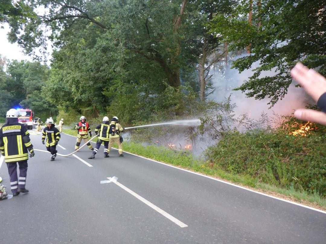 Waldbrand Kolshorn 09082018 1