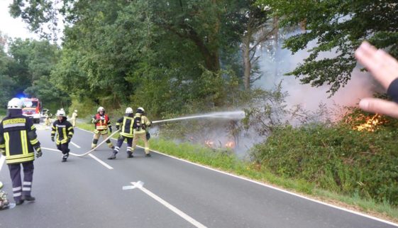 Waldbrand Kolshorn 09082018 1