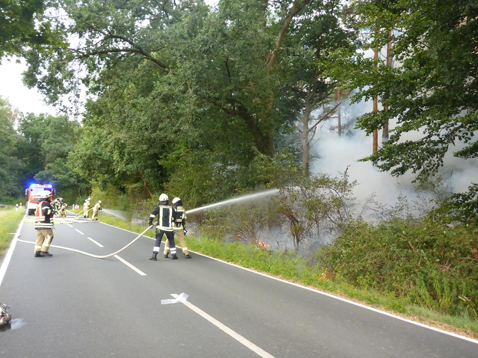 Waldbrand Kolshorn 09082018 2