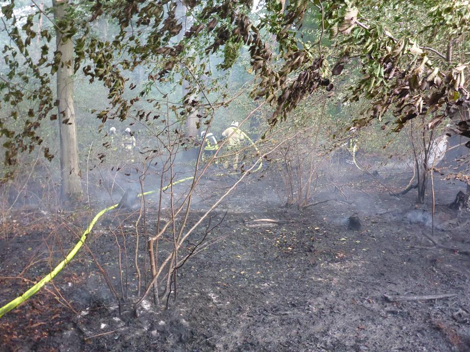 Waldbrand Kolshorn 09082018 6