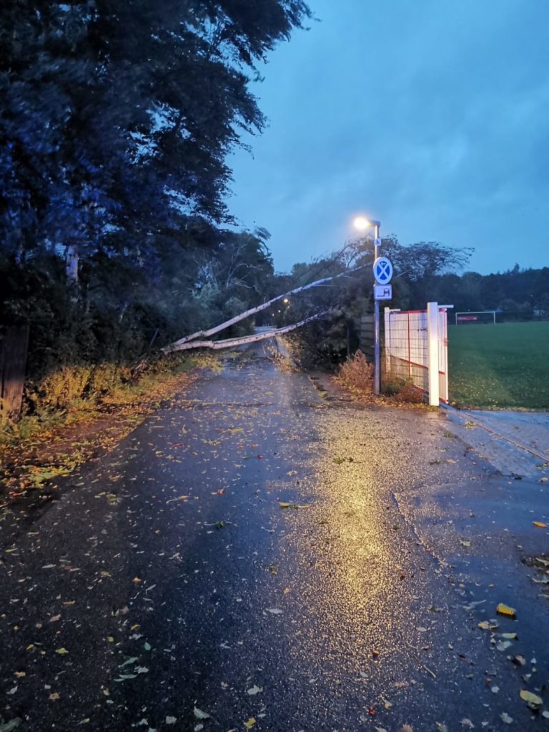 2019 09 30 Sturmschaden Baum