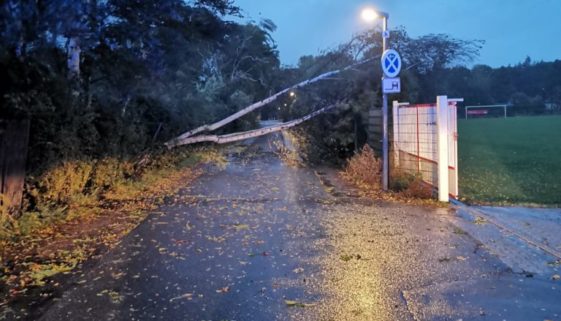 2019 09 30 Sturmschaden Baum