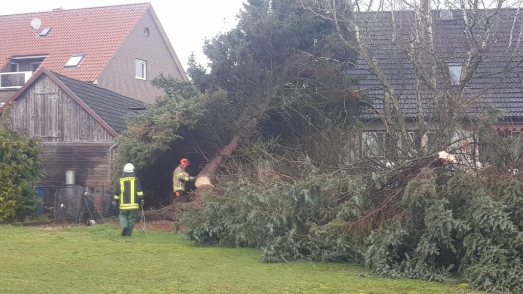 Nr. 022 Tanne sicher zu Boden gebracht Feuerwehr Lehrte