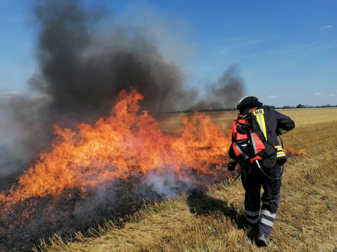 Vegetationsbrandbekämpfung mit Wasserrucksack