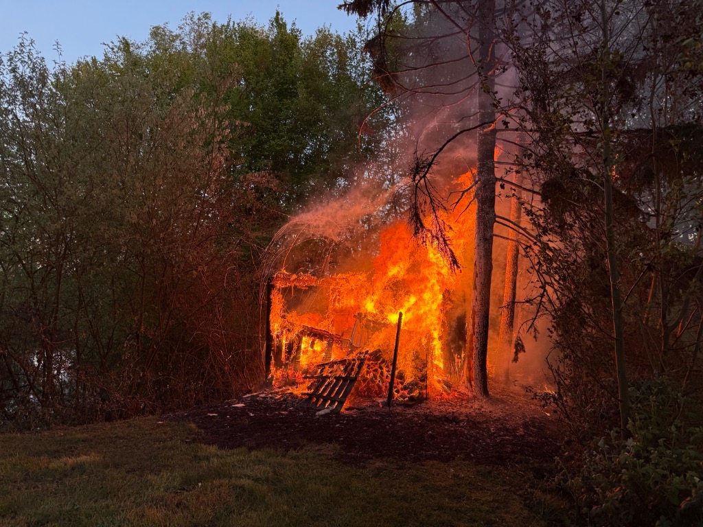Brand eines Holzunterstands im Wald 4 Feuerwehr Lehrte - 20250426 ba1 099 2
