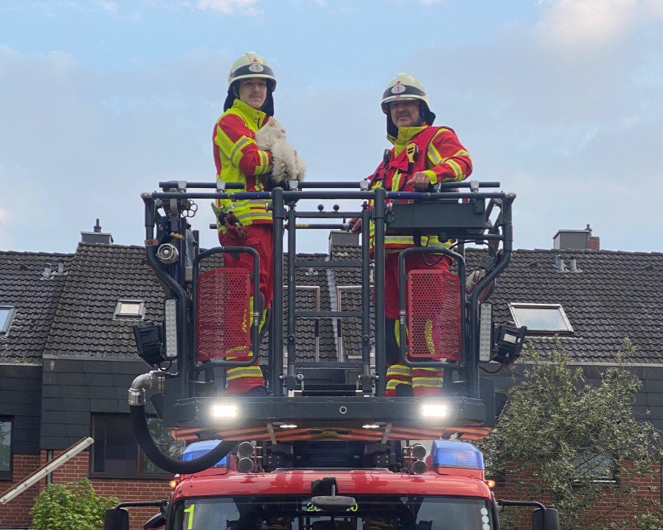 Weiße Katze sitzt seit Stunden im Baum 4 Feuerwehr Lehrte - 20250502 hto 102 4