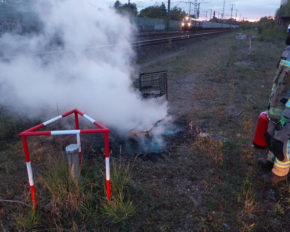 Einkaufswagen brennt an einer Bahnstrecke 3 Feuerwehr Lehrte - 20250505 b 104