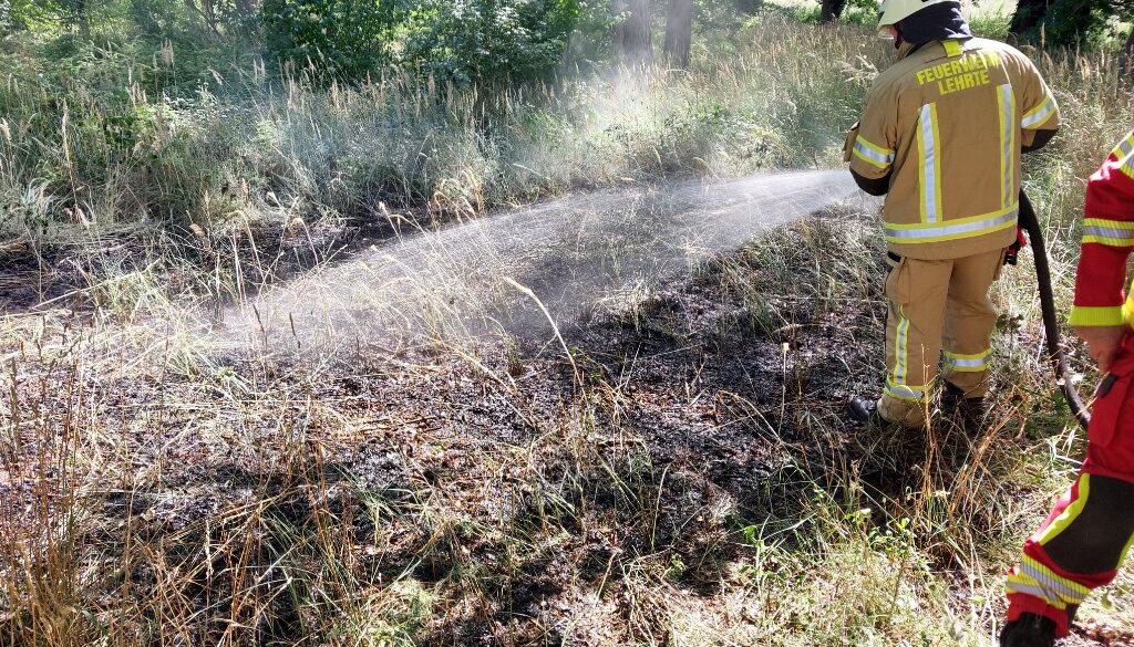 -2AN9-oiOd9NZtkEIAsH7