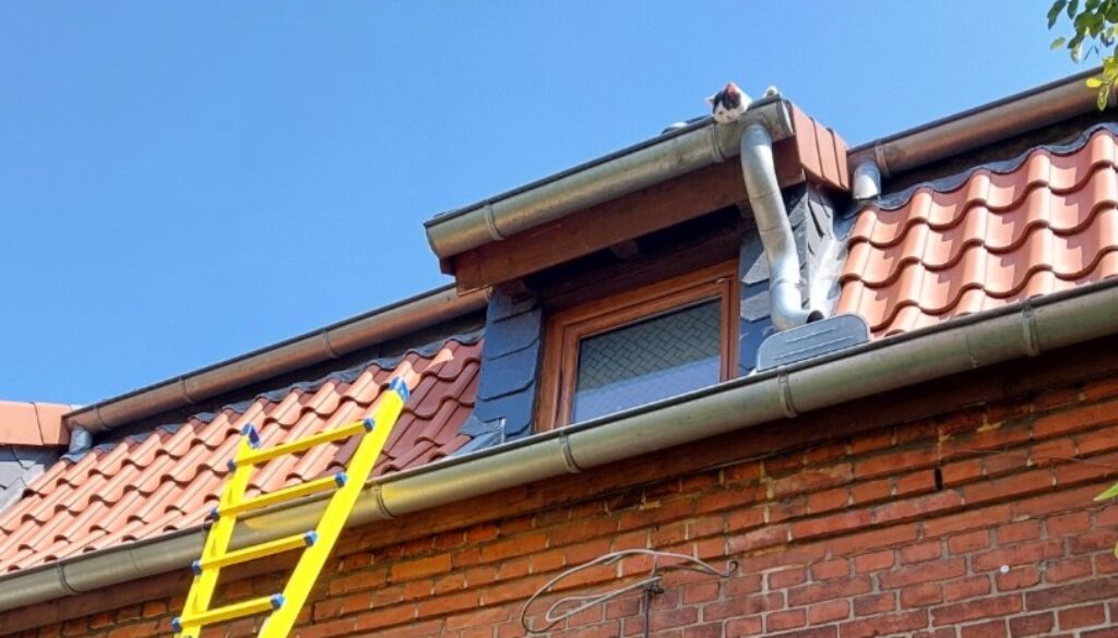 iZNuYs8PyHdu6-Oh2-dSp