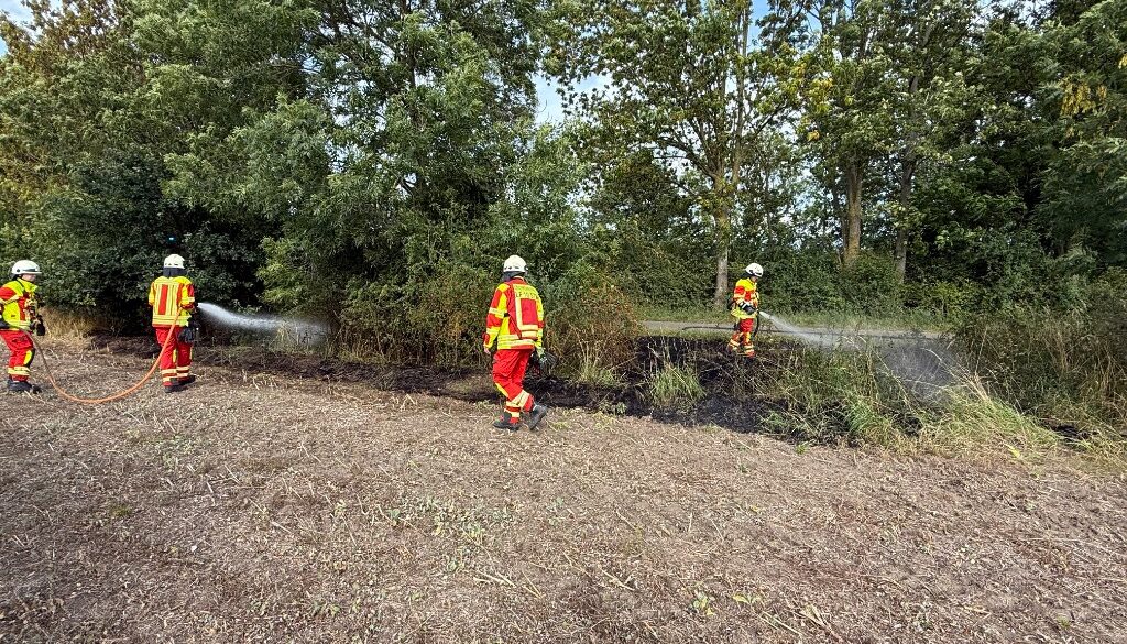 GiQjRSyhcbfkVPUHMGGpa