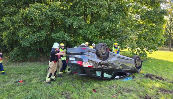 lzEvu4Arla_QNlk7RGeR8