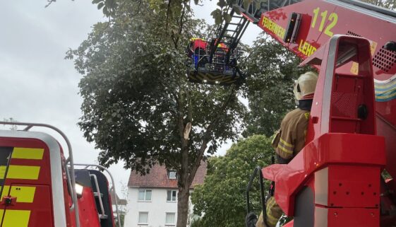 qP-Z6hrAYU7f1xFlMa9jp