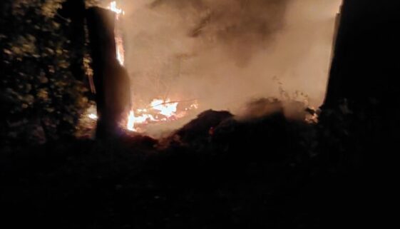 IcDlKKLrnRxOaD6VUlv3L