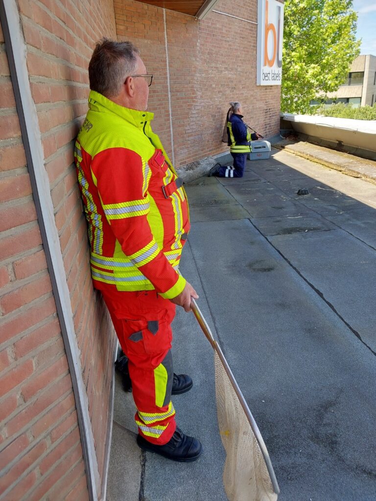 Feuerwehr Lehrte - 20260518 ht Lehrte Entenfamilie 4