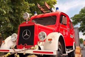 130626_Rückker_Alte_Ziege 4