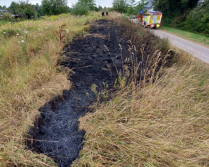 Feuerwehr Lehrte - 20260815 bi1 lehrte wiese